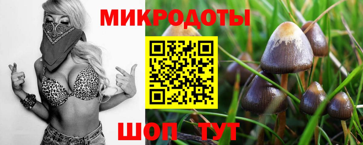 Псилоцибиновые грибы Psilocybe Богородск